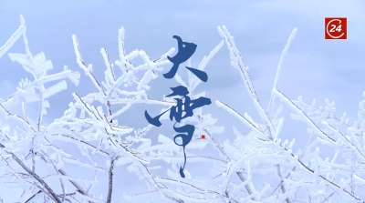 诗｜张学丰：大雪二首