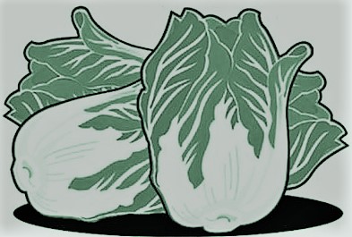 散文｜ 胡月强：隆冬时节话白菜