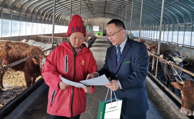 邮储银行陵城支行：金融助力“贷”动肉牛养殖产业发展