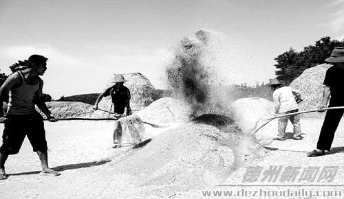 德州文史 | 李宽云：记忆中的场院