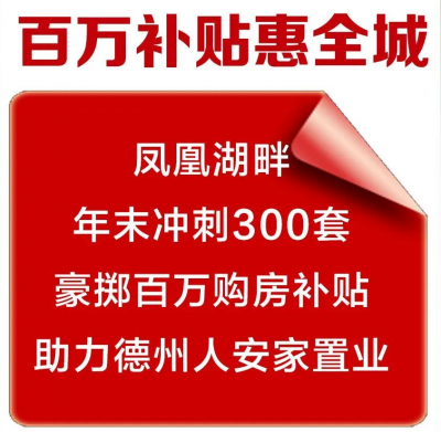 凤凰湖畔 | 暖冬置业季 百万购房补贴惠全城