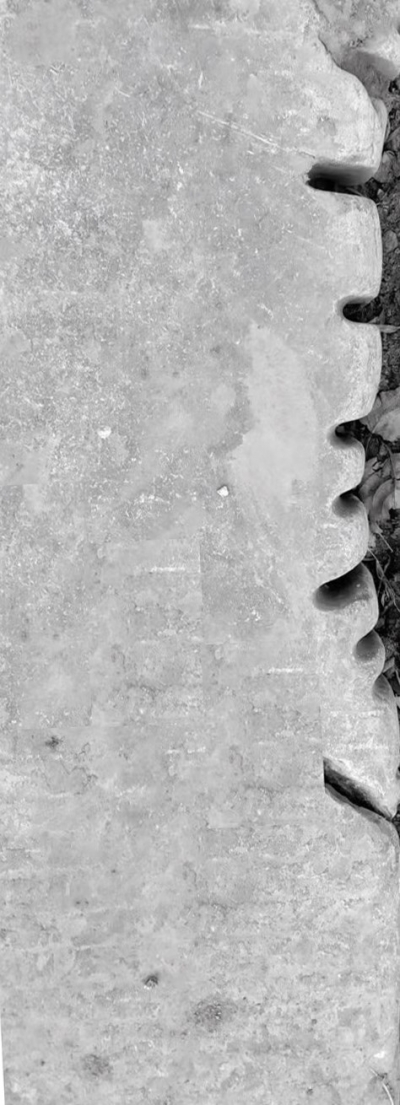 散文｜姜兰君：故乡的老井