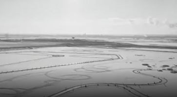 散文｜姜兰君：海拉尔的亲人回来了