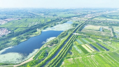 齐河入选全国“水系连通及水美乡村建设县”