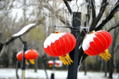 诗｜王霞：小雪