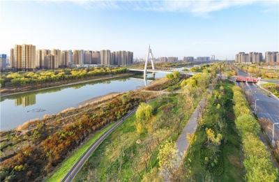 散文｜刘霞：温暖