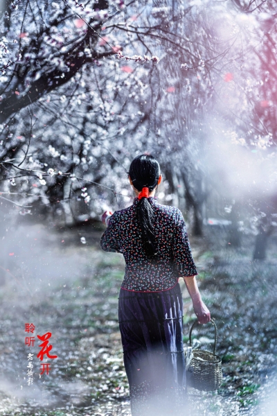 词｜范恩露：鹧鸪天·再别康桥