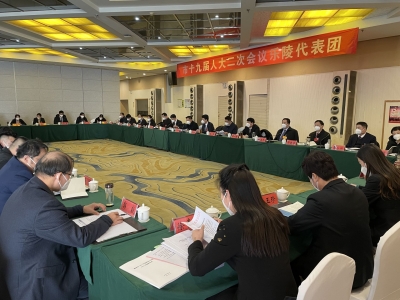 德州市政协主席卜祥联参加乐陵代表团审议时强调 扩大传统优势 奋力展现新作为