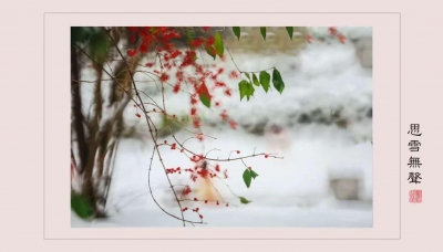 散文诗｜雪梦：雪色浪漫（外一章）