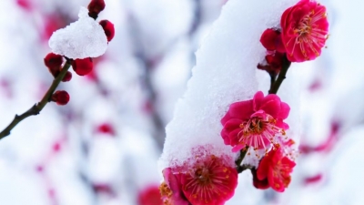 诗｜于春峰：时疫杂感（外二首）