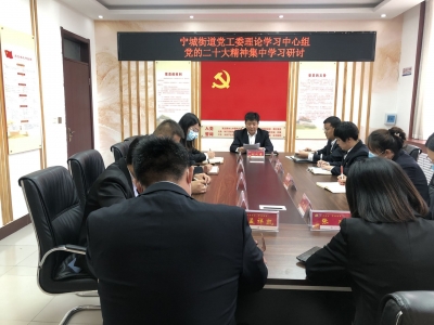 宁津县宁城街道：全面深入学习宣传贯彻党的二十大精神