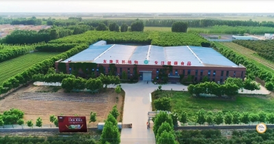 黄河大集 | 山东友康公司：小麦胚芽助力健康新“食”尚