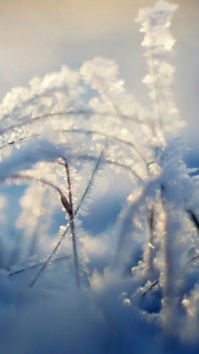 散文｜祖新兰：大寒趣事