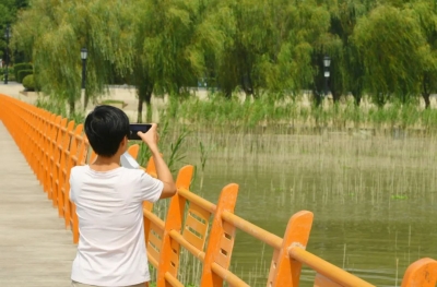  散文 | 田翠玲：两次失而复得的手机