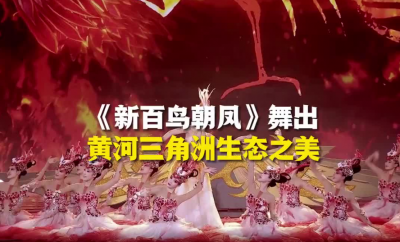 大年二十八，看#山东春晚 灵动！《新百鸟朝凤》舞出黄河三角洲生态之美