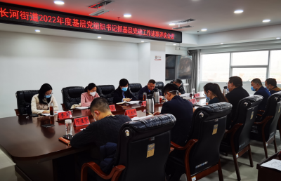 长河街道召开2022年度基层党组织书记抓基层党建工作述职评议会议