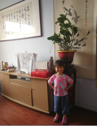 散文 | 贾通洲：我的“老家”情缘