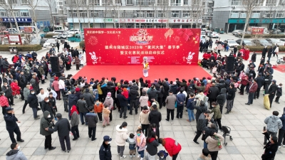 陵城区2023年“黄河大集”春节季暨文化惠民活动启动