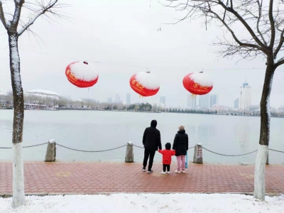 散文｜王淑芬：雪中情