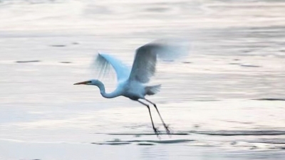 今周末｜取暖的记忆（外四篇·首）