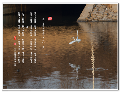 影 · 韵 | 张立新：冬日暖阳下的那些鸟儿（二首）