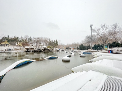 散文 | 郭飞：冬日遐想