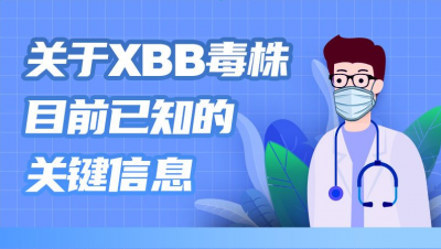 关于XBB毒株，目前已知的关键信息