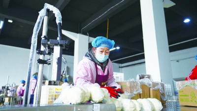 新春走基层 | 乐陵希森集团：土豆馒头线上“走红”