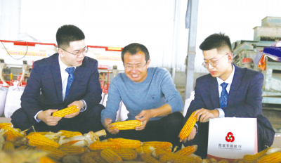 截至目前,累计支持中小微企业331家、76.34亿元 | 陵城农商银行“保姆”式服务破解企业难题