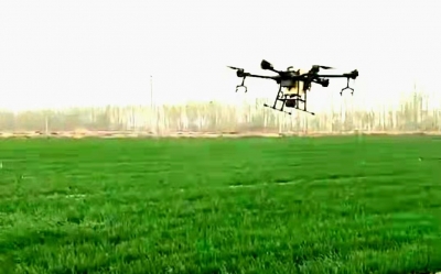 散文 | 崔建民：春天进行曲