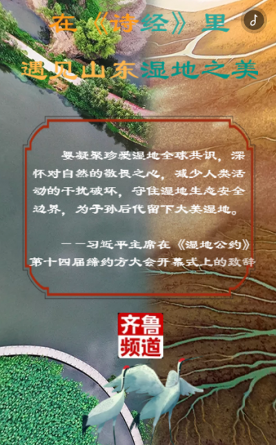 山东省级湿地公园数量居全国首位  “为子孙后代留下大美湿地”!