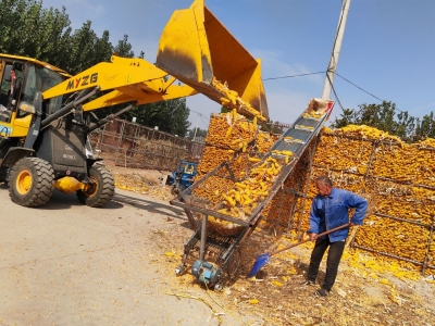 临邑县翟家镇：党建引领农业发展 “两次分红”助农增收