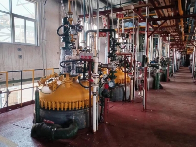 临邑以奖代补鼓励危化企业技改 | 14家企业完成19个项目改造