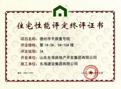 开年宏篇，再续传奇丨东海集团再落一子，双星闪耀点亮平原