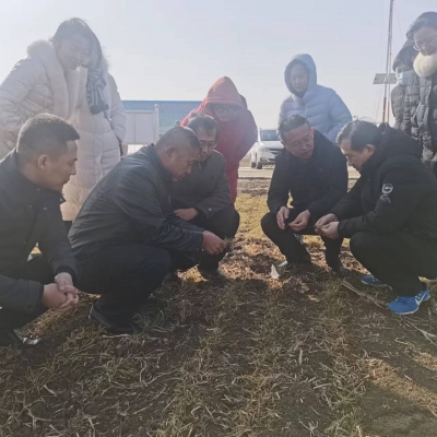 德州学院| 深化城校融合 共谋乡村振兴