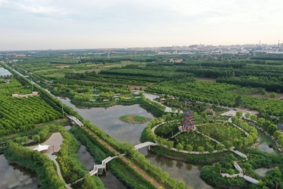 乐陵：“三水共治”焕发河湖生机