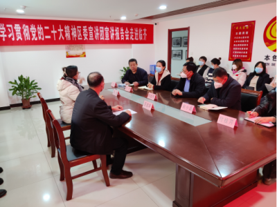 感悟思想伟力 凝聚奋进力量 | 学习贯彻党的二十大精神区委宣讲团走进临齐街道