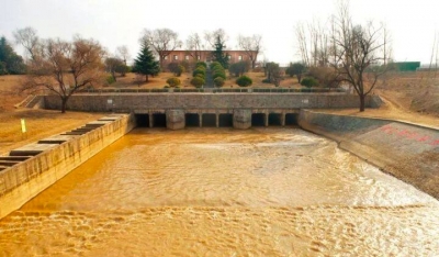 日引黄河水130万立方米！德州农田畅饮“增产水”