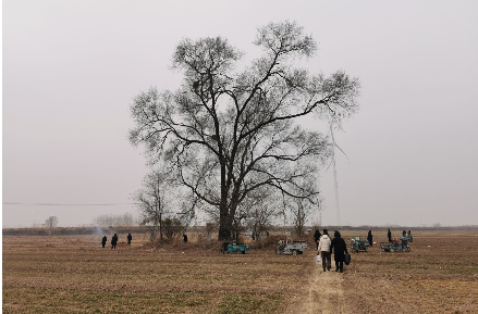 散文 | 高吉超：故乡是什么
