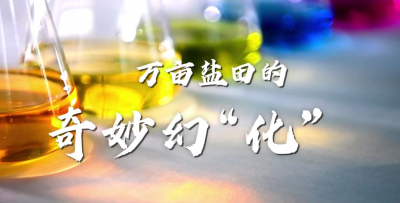 工业之美③万亩盐田的奇妙幻“化”  | 有实力有颜值，被山东高端化工的美惊艳到了