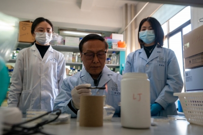 代表委员履职故事｜不负重托 同心圆梦——代表委员的履职故事