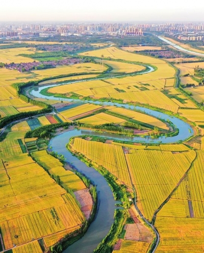 德州文史 | 李宽云：运河岸边看好戏