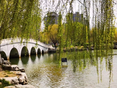 诗文｜赵立章：演绎春天的故事（外一首）