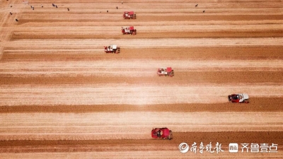 万亩良田能耕作在手机上，潍柴雷沃为乡村振兴插上“智慧翅膀”