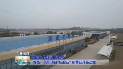 先进制造业强市 | 临邑县：加力提速项目建设 打造制造业高质量发展强大引擎