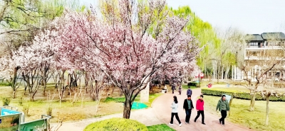 今周末｜高迎春：香雪最是桃花落（外二篇•首）