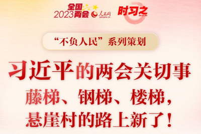 习近平的两会时间｜两会关切事——藤梯、钢梯、楼梯，悬崖村的路上新了！