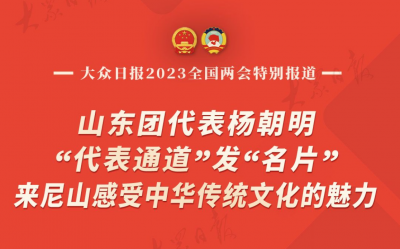 山东团代表杨朝明“代表通道”发“名片”让世界感受中华传统文化的魅力