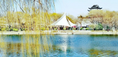 今周末｜范兴文：燕子归来（外四篇•首）