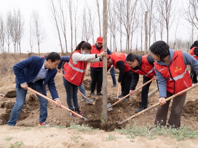 每人三棵树 单位一片林 | 德报在平原县王打卦镇开展春季义务植树活动